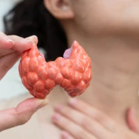 Якщо людина постійно відчуває слабкість, у неї стоншується волосся і ламаються нігті, треба перевірити щитовидну залозу