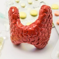 Вплив щитовидної залози на роботу організму і коли потрібно йти до ендокринолога