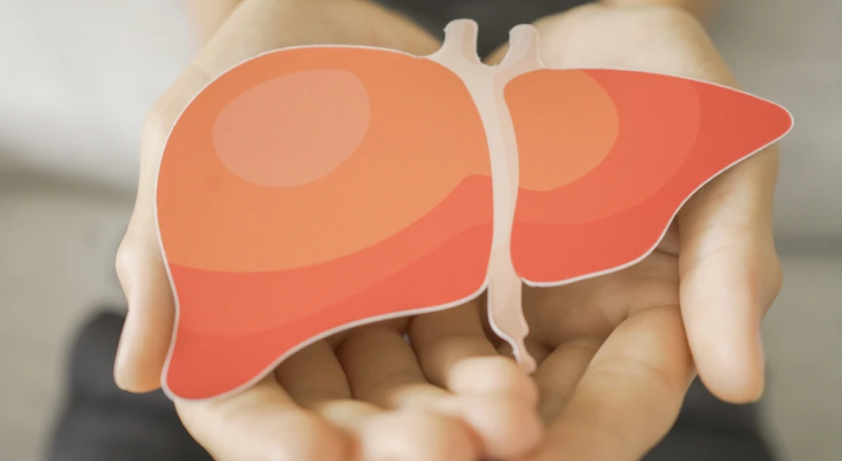 Вірус гепатиту А боїться профілактики