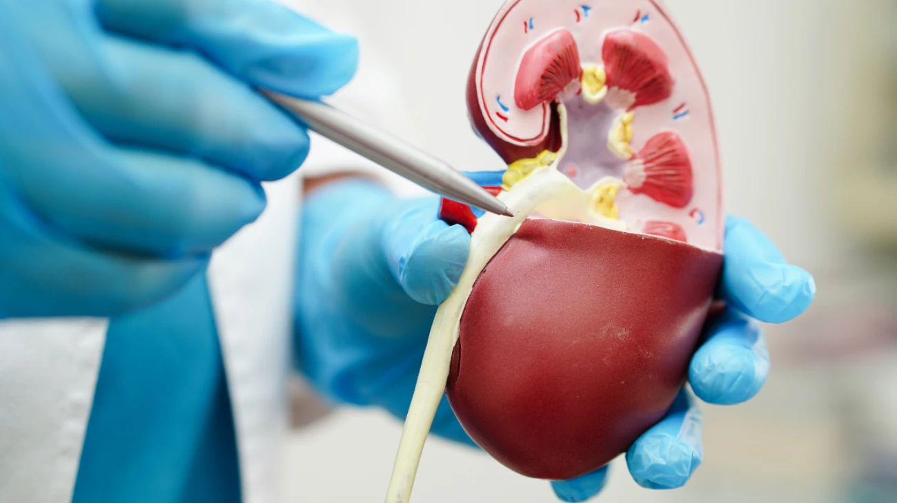 Відділення урології: комплексні програми