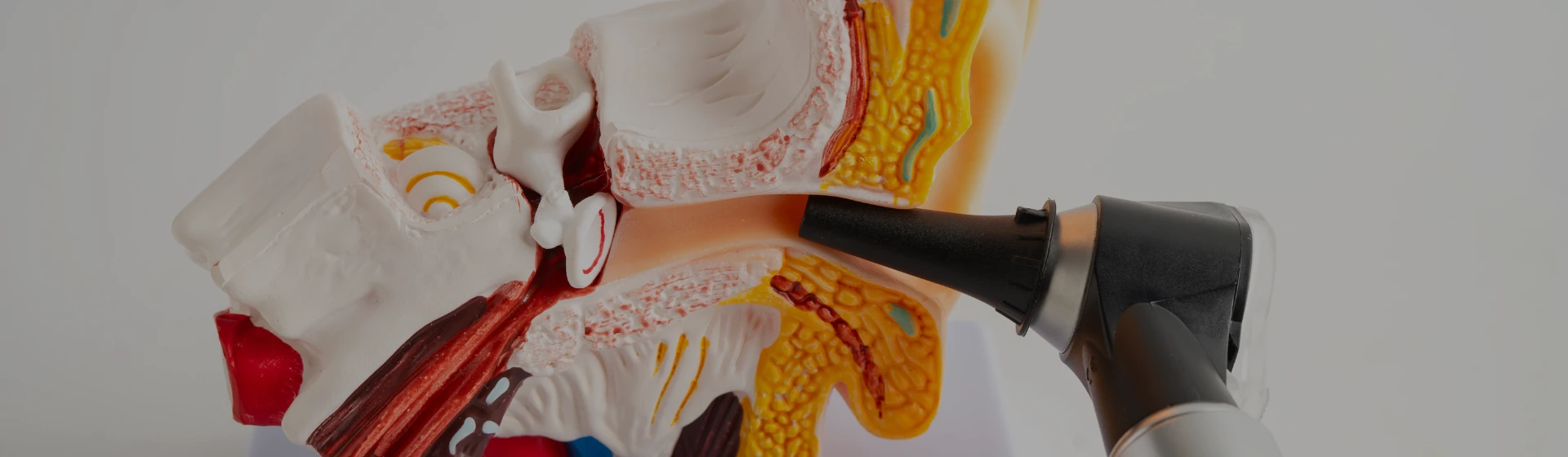 Двобічна вазитомія