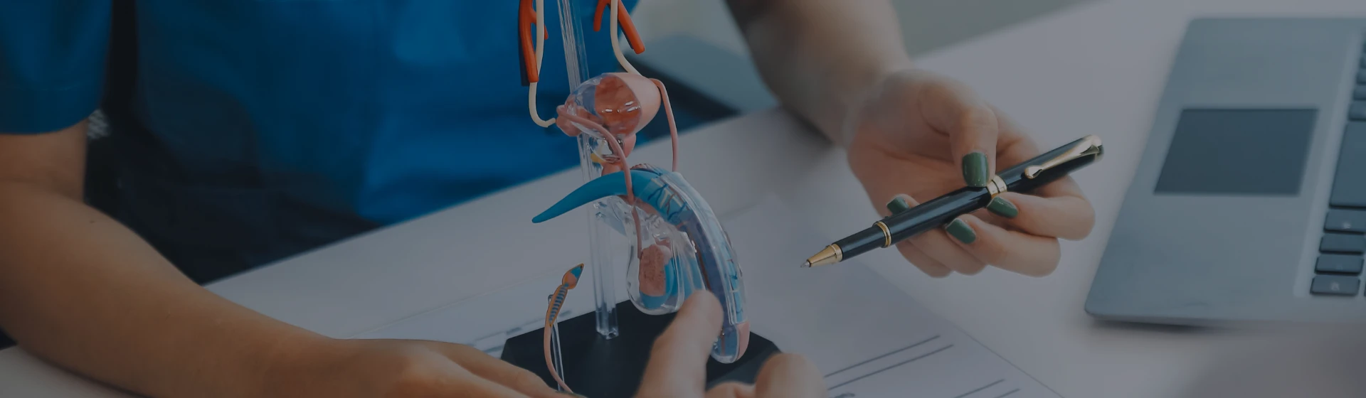 Кістектомія (видалення кісти придатків яєчка)